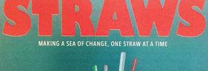 Reusable Straws | Eco Tips Photo